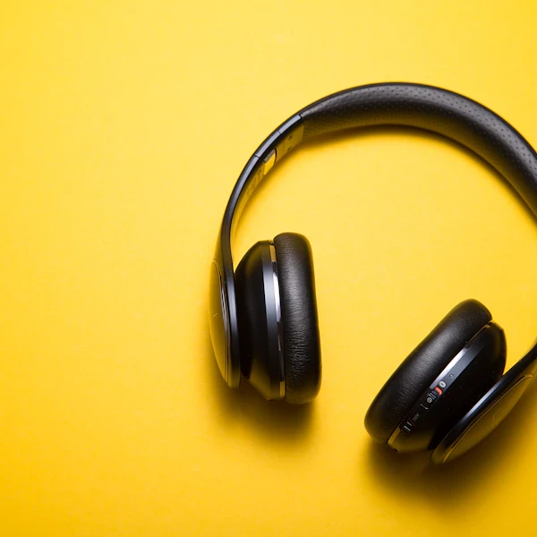 Wireless Bluetooth Headphones